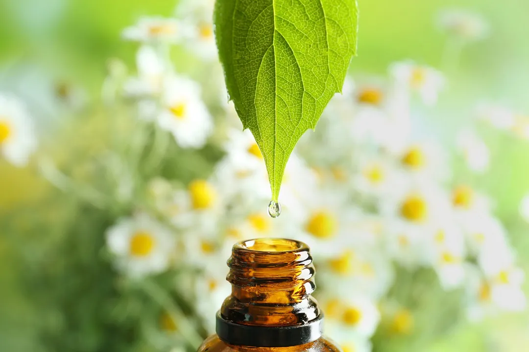 روغن‌های طبیعی مانند روغن نارگیل، روغن زیتون و روغن بادام خاصیت نرم‌کنندگی دارند و می‌توانند به بهبود خشکی کف پا کمک کنند.