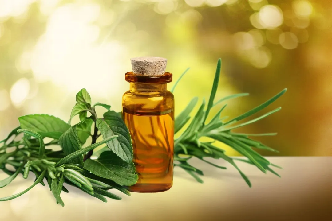 کی از ترکیبات طبیعی است که به دلیل خاصیت ضدعفونی‌کننده و ضد حشره‌ای، در شامپوهای طبیعی ضد شپش استفاده می‌شود.